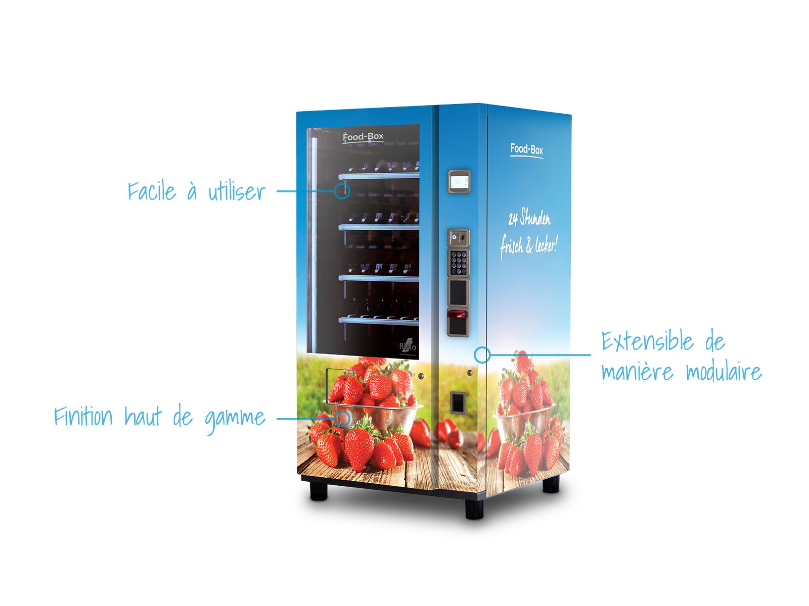 Distributeur automatique de fraises — présentation des fonctions      