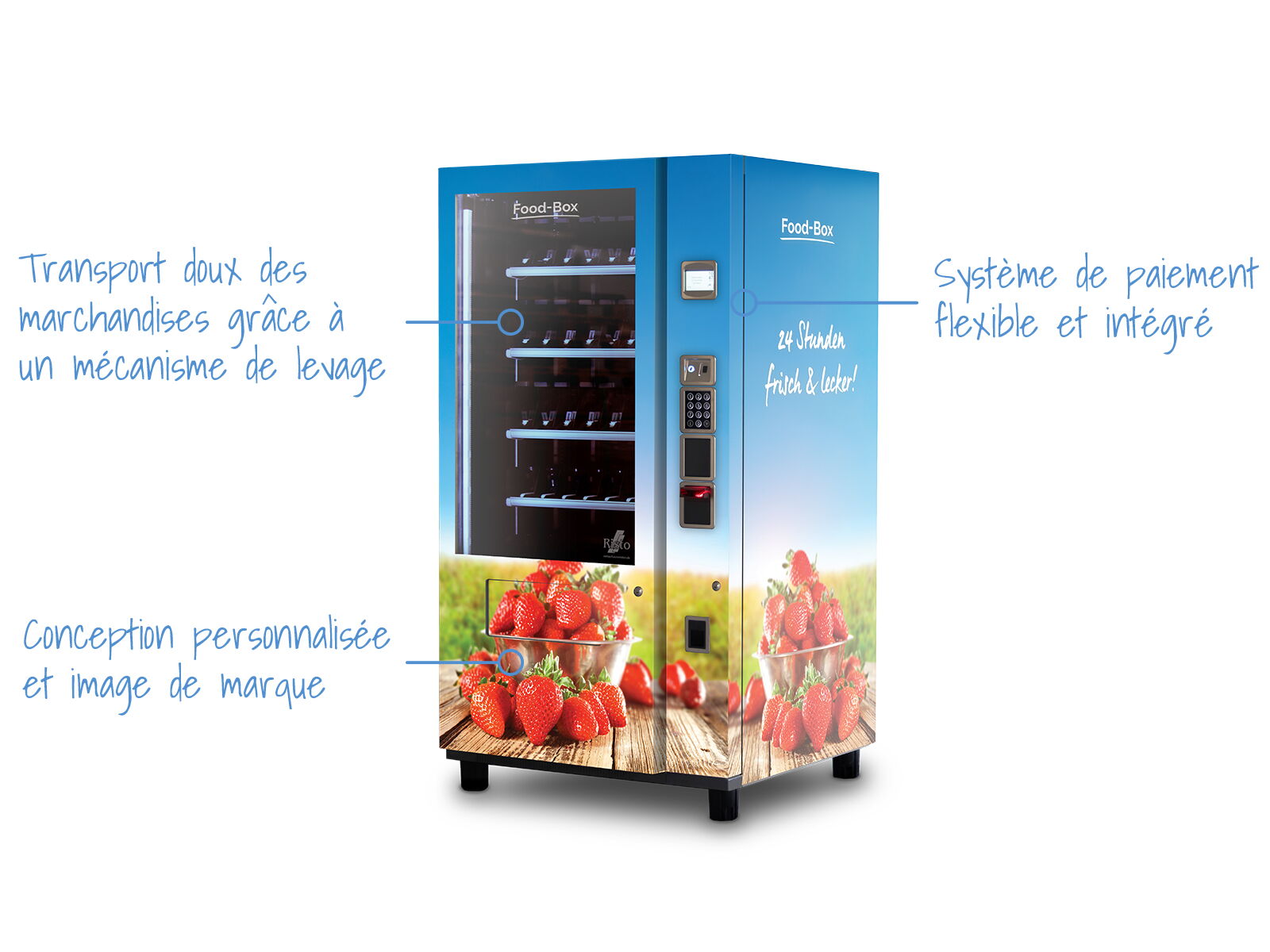 Distributeur automatique de fraises — présentation des fonctions      